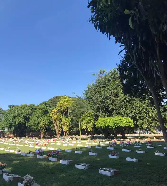 Floricultura Cemitério Parque Lírios Araraquara