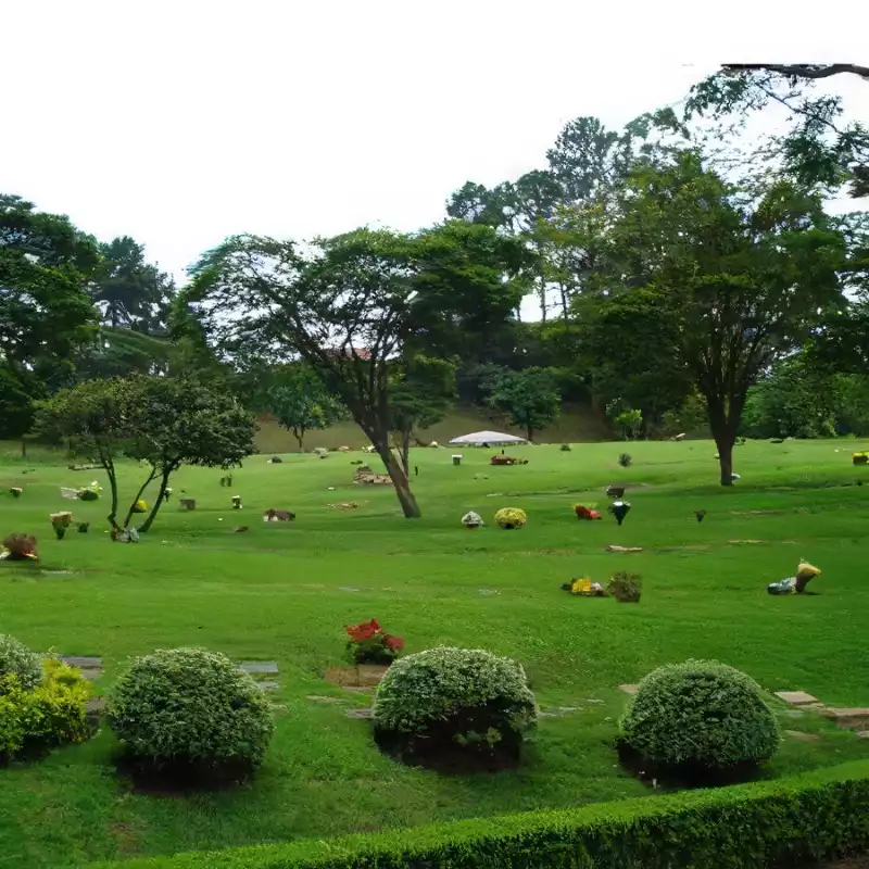 Floricultura Cemitério Congonhas Marajoara