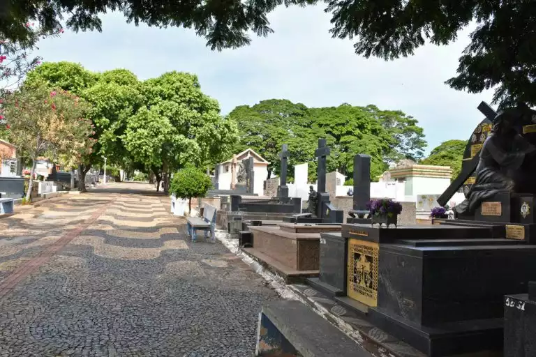 Floricultura Cemitério Municipal São João Batista