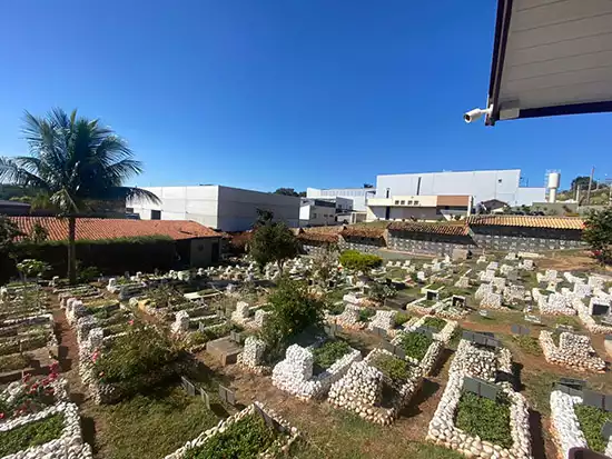Cemitério e Crematório de Animais São Francisco de Assis Campinas