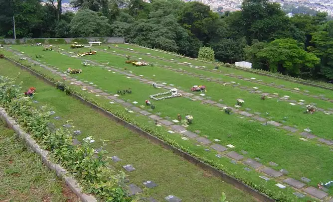 Imagem de Floricultura Cemitério da Penha