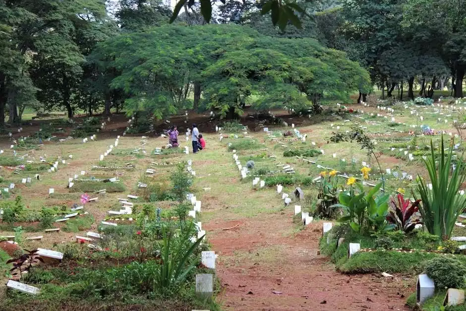 Imagem de Floricultura Cemitério Vila Formosa