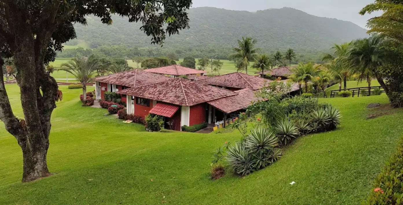 Imagem de Floricultura Cemitério Jardim da Saudade - Paciência