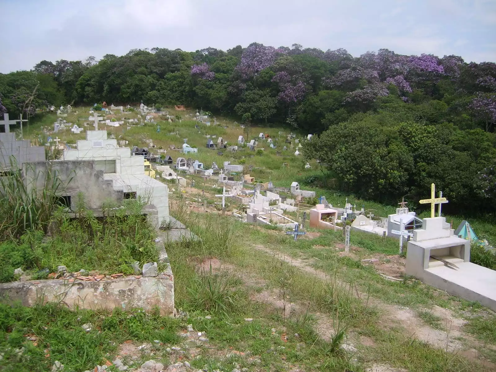 Floricultura Cemitério Municipal de Rio Grande Da Serra