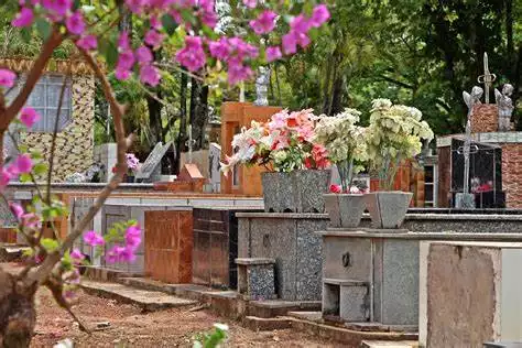Floricultura Cemitério e Velório Paulicéia