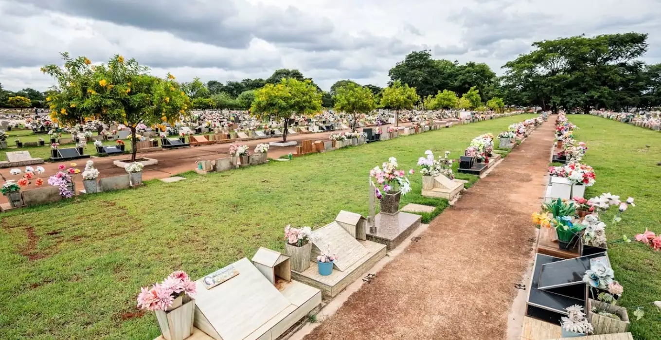 Floricultura Cemitério dos Britos - Araraquara