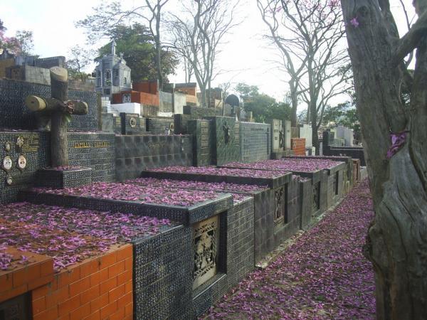 Imagem de Floricultura Cemitério Vila Mariana